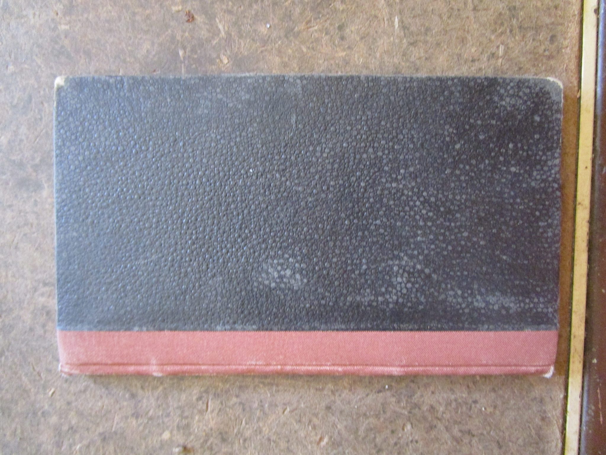 IMG_4090.JPG