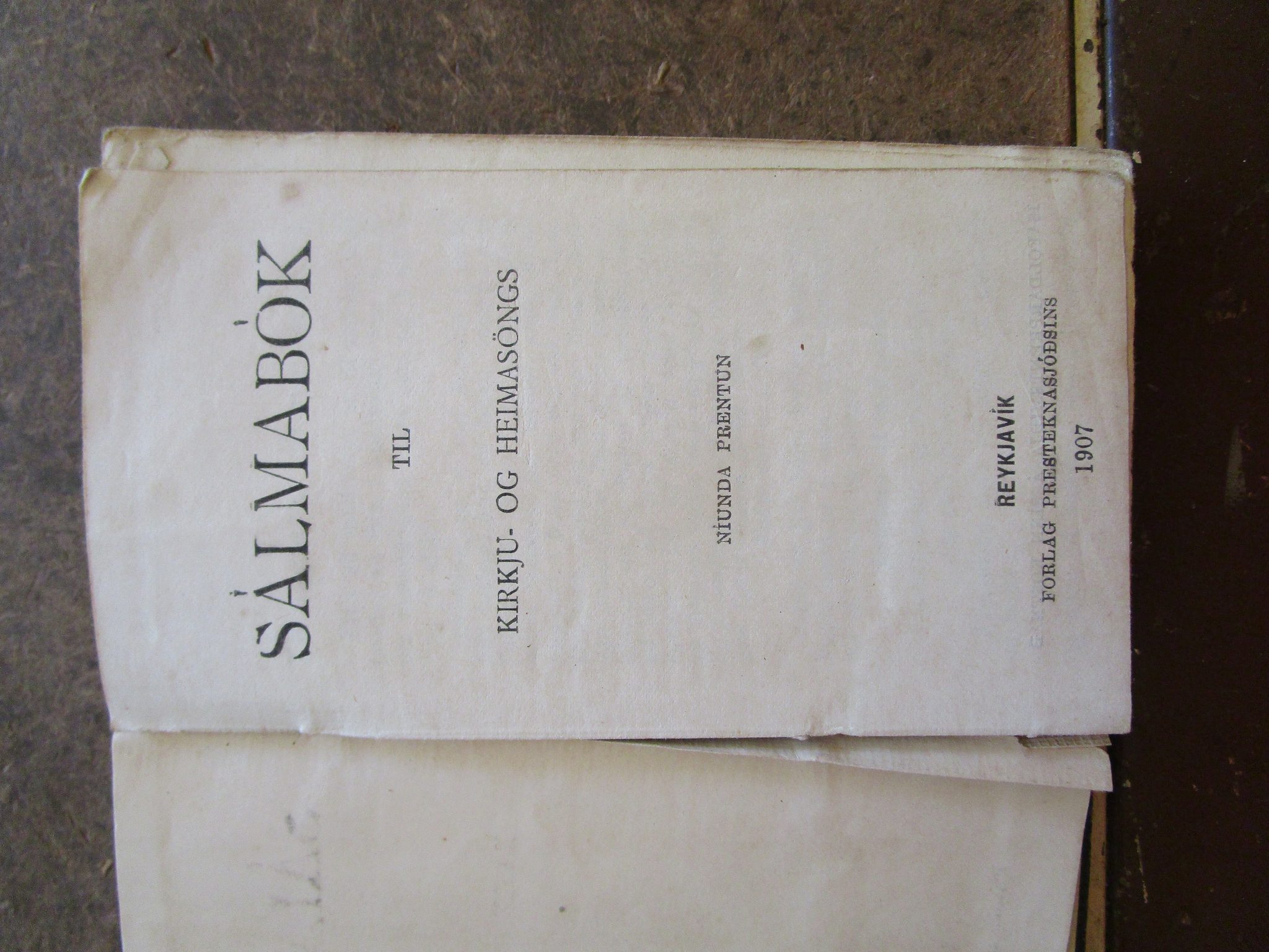 IMG_4105.JPG