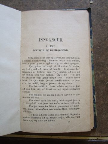 IMG_4698.JPG